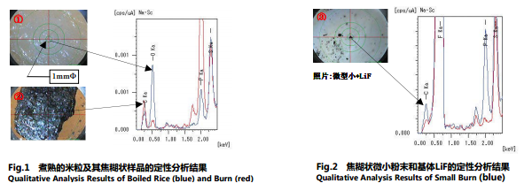 定性分析結(jié)果.png
