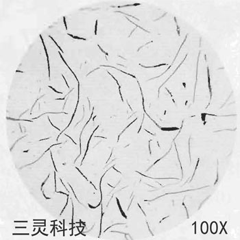 灰鑄鐵金相組織圖譜
